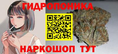 спайс Берёзовский