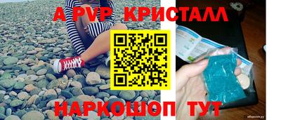 спайс Берёзовский