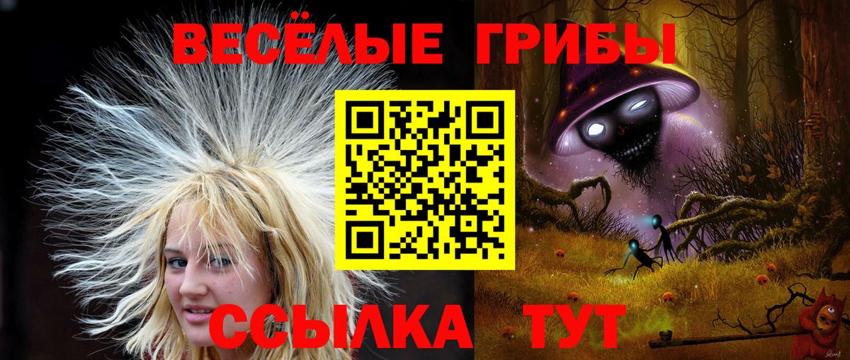 Кодеин  Вход с VPN  Метамфетамин  Казань  Экстази  Меф МЯУ МЯУ   Каннабис  ГАШИШ 