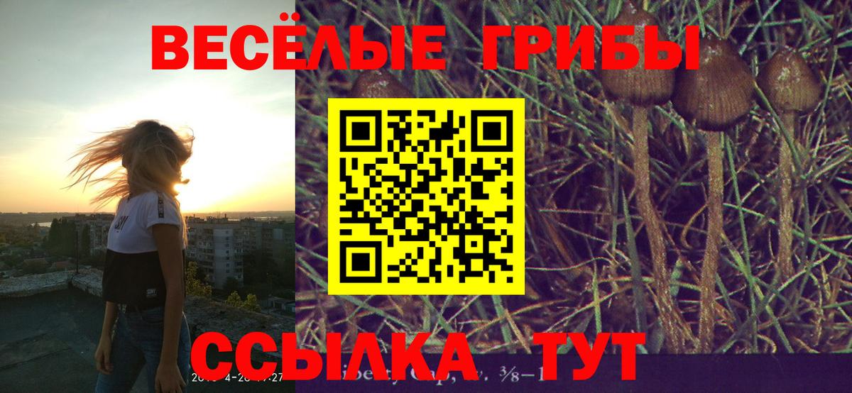 Псилоцибиновые грибы прущие грибы Казань