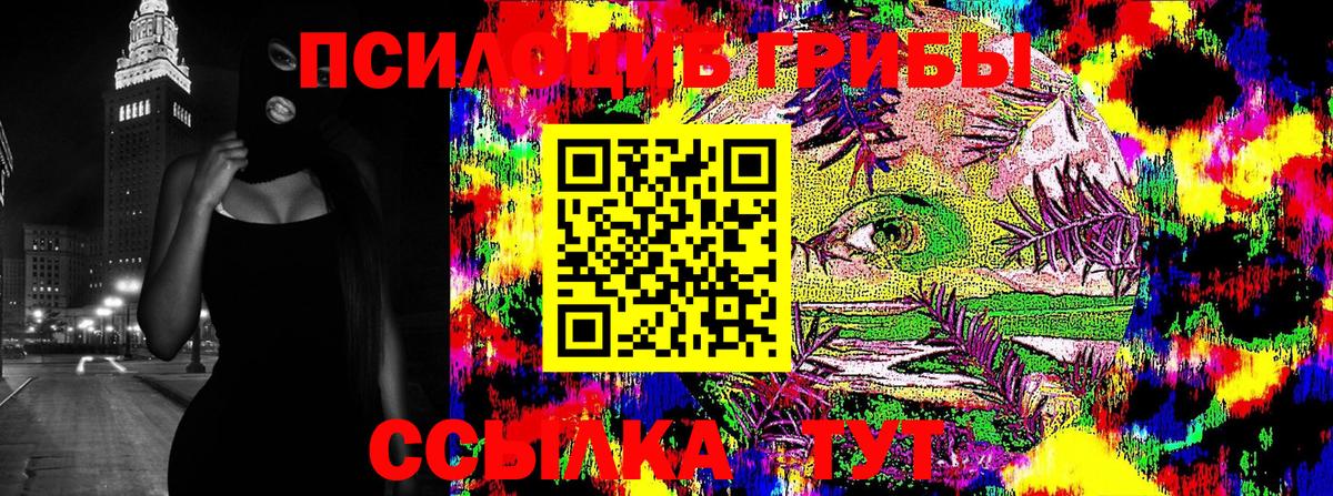 закладки  Вход с VPN  Казань  Псилоцибиновые грибы ЛСД  Галлюциногенные грибы Cubensis 
